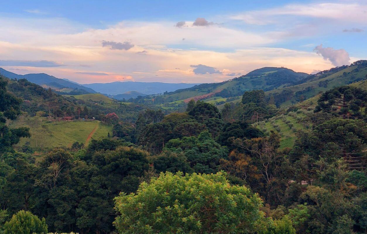 Vista aérea do Olival Alma da Mantiqueira ao entardecer, com terraços de oliveiras nas encostas da Serra da Mantiqueira