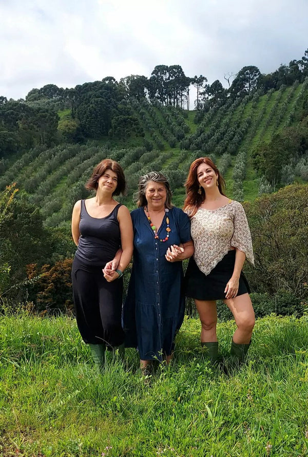 Produtoras de azeite em Minas acumulam prêmios internacionais e inovam com música nas plantações