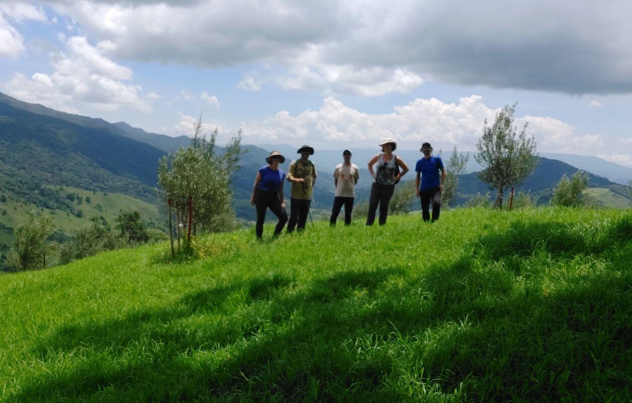 Grupo de visitantes no mirante do olival, cercado por oliveiras jovens e vista para a Serra da Mantiqueira